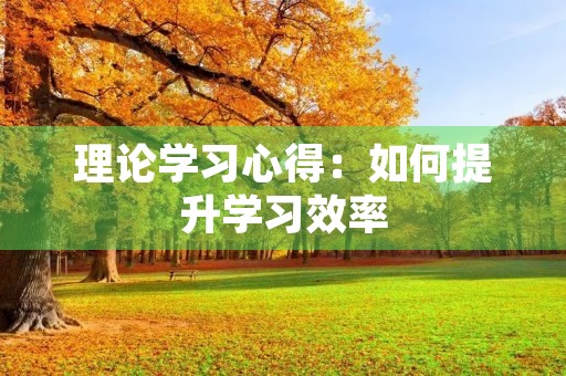 理论学习心得：如何提升学习效率