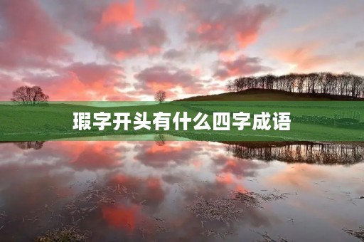 瑕字开头有什么四字成语