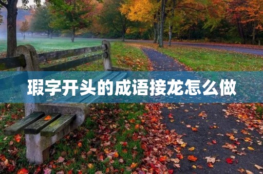 瑕字开头的成语接龙怎么做 瑕字开头的成语接龙怎么做