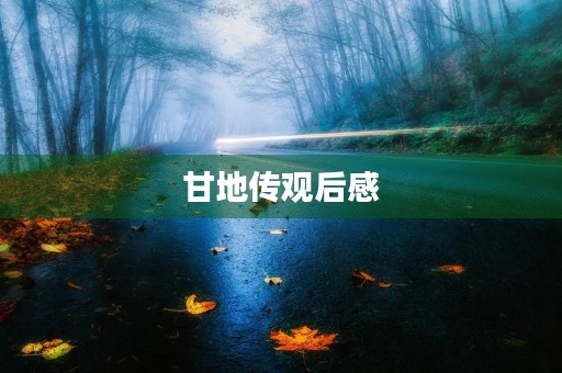 甘地传观后感