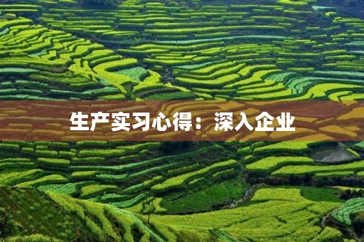 生产实习心得:深入企业,开拓视野