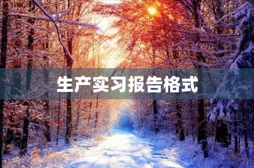 生产实习报告格式 生产实习报告格式