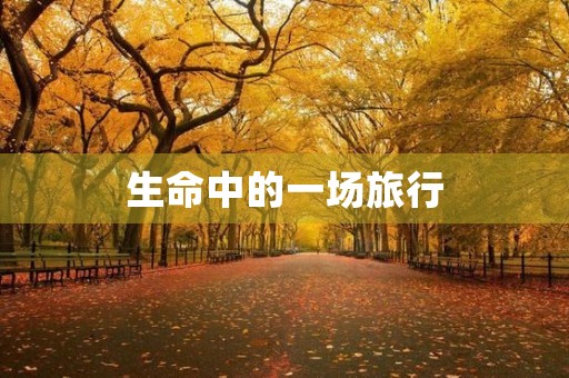 生命中的一场旅行 生命中的一场旅行