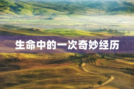 生命中的一次奇妙经历