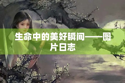 生命中的美好瞬间——图片日志