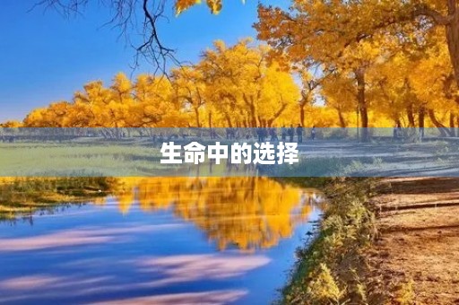 生命中的选择 生命中的选择
