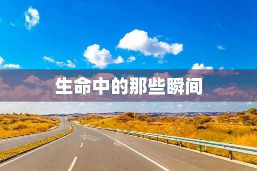 生命中的那些瞬间 生命中的那些瞬间