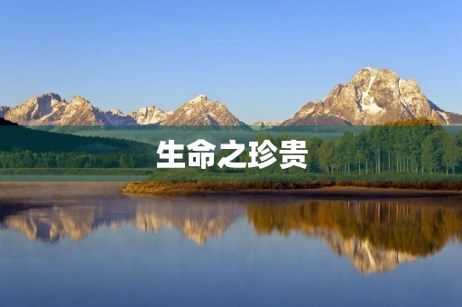 生命之珍贵 生命之珍贵