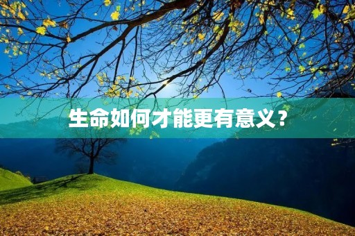 生命如何才能更有意义？
