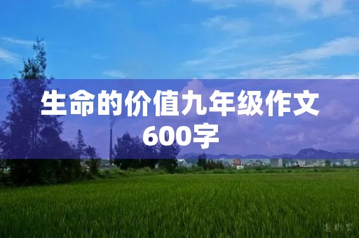 生命的价值九年级作文600字 生命的价值九年级作文600字