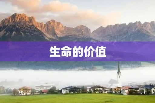 生命的价值 生命的价值