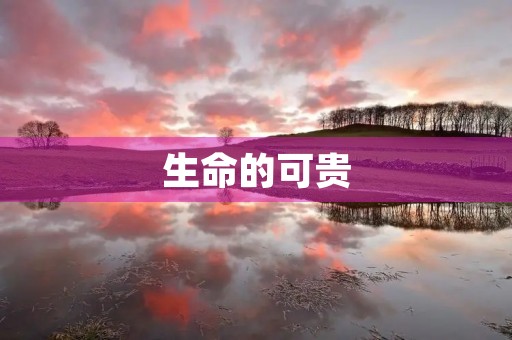生命的可贵，珍爱生命