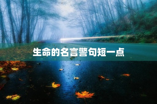 生命的名言警句短一点,珍惜生命的金句 生命的名言警句短一点,珍惜生命的金句