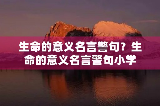 生命的意义名言警句?生命的意义名言警句小学 生命的意义名言警句?生命的意义名言警句小学
