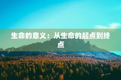 生命的意义：从生命的起点到终点