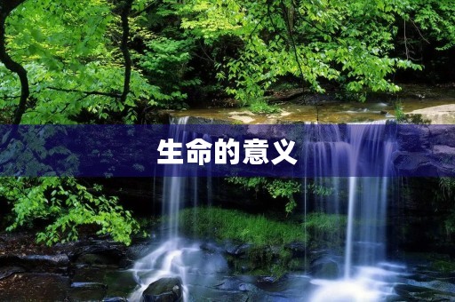 生命的意义