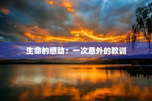 生命的感动：一次意外的教训