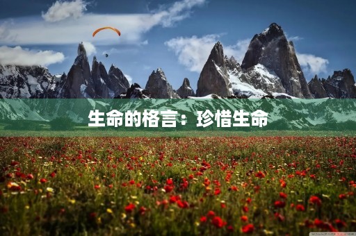 生命的格言:珍惜生命,感恩生命 生命的格言:珍惜生命,感恩生命