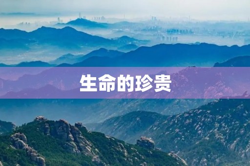 生命的珍贵