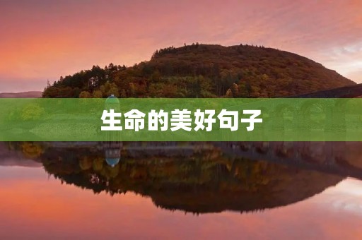 生命的美好句子(生命的美好句子摘抄)
