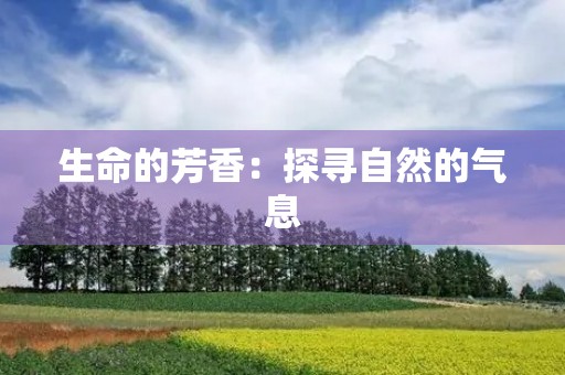 生命的芳香：探寻自然的气息