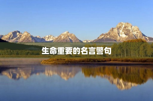 生命重要的名言警句(生命重要的名言警句摘抄)