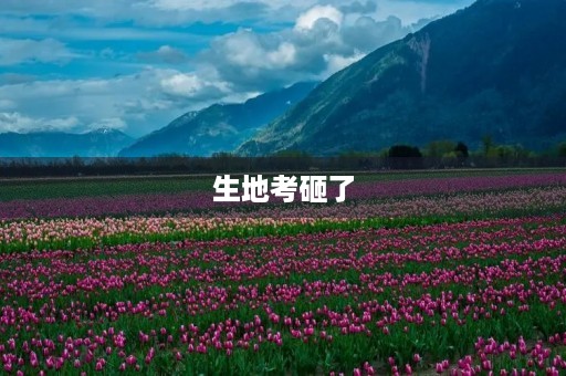 生地考砸了,一篇关于失败的作文 生地考砸了,一篇关于失败的作文