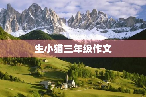 生小猫三年级作文
