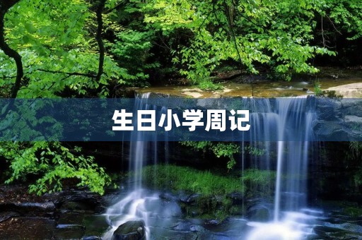 生日小学周记
