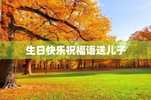 生日快乐祝福语送儿子(激励男孩子生日寄语)