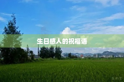 生日感人的祝福语,生日祝福语简短精辟