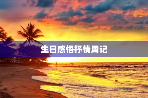 生日感悟抒情周记