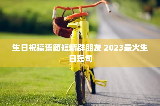 生日祝福语简短精辟朋友 2023最火生日短句