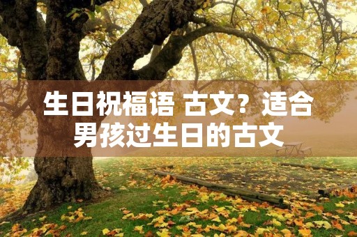 生日祝福语 古文?适合男孩过生日的古文
