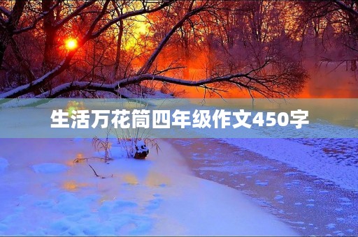 生活万花筒四年级作文450字