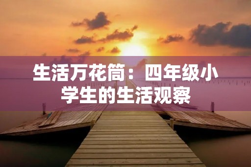 生活万花筒：四年级小学生的生活观察