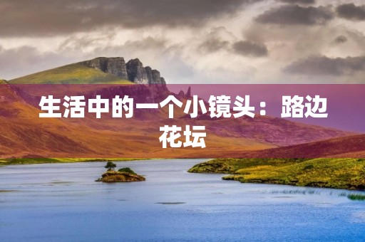 生活中的一个小镜头:路边花坛 生活中的一个小镜头:路边花坛