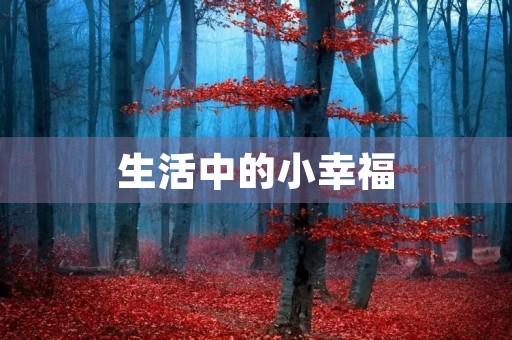 生活中的小幸福 生活中的小幸福