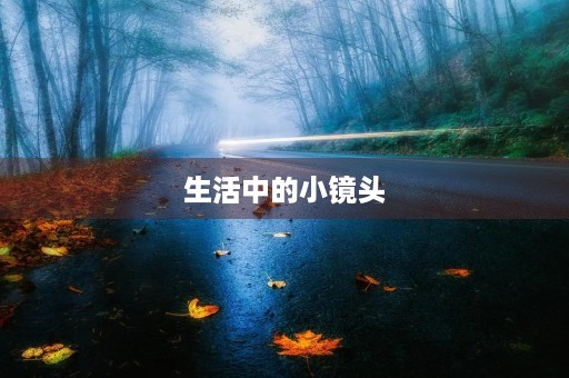 生活中的小镜头