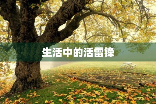 生活中的活雷锋 生活中的活雷锋