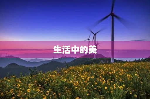 生活中的美