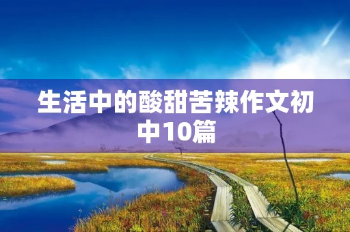 生活中的酸甜苦辣作文初中10篇
