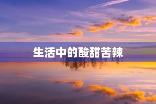 生活中的酸甜苦辣 生活中的酸甜苦辣