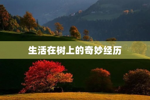 生活在树上的奇妙经历