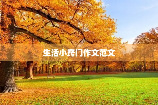 生活小窍门作文范文 生活小窍门作文范文