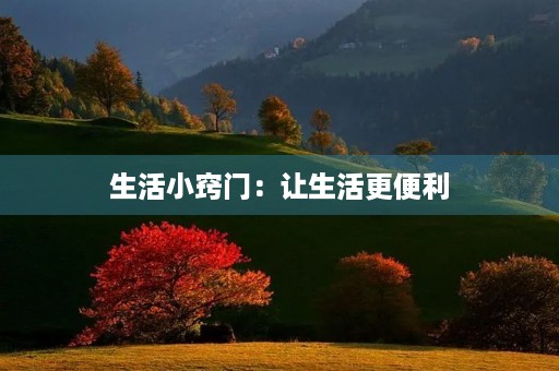 生活小窍门:让生活更便利 生活小窍门:让生活更便利