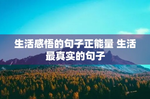 生活感悟的句子正能量 生活最真实的句子