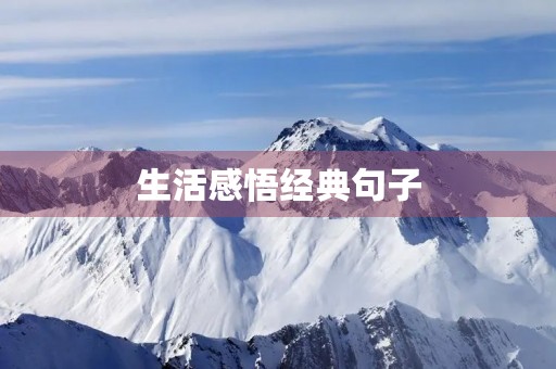 生活感悟经典句子(生活感悟经典句子简短) 生活感悟经典句子(生活感悟经典句子简短)