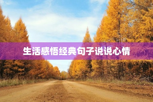 生活感悟经典句子说说心情，夫妻生活感悟经典句子说说心情