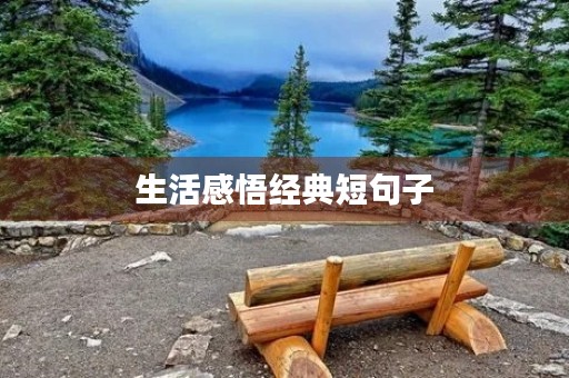 生活感悟经典短句子，生活感悟经典短句子说说心情